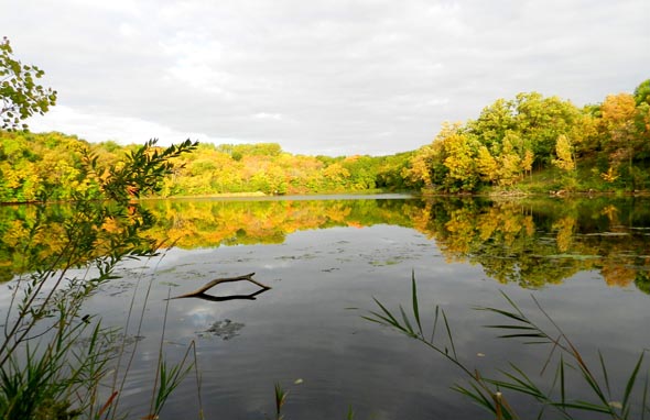 lakefront_water